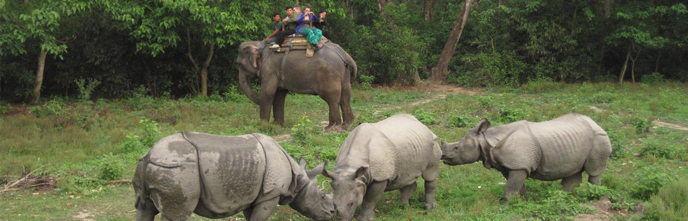 Chitwan Jungle Safari