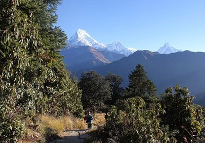 Poon Hill Trek